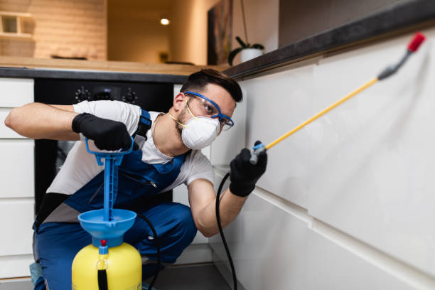 Best Residential Pest Control  in Rio Del Mar, CA